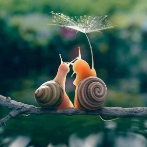 Educar en la calma