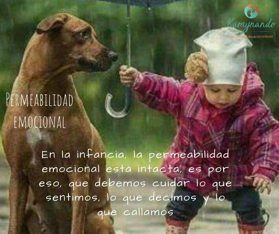 Permeabilidad emocional